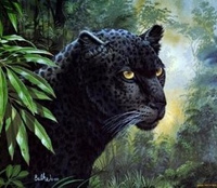 Malowanie Po Numerach Puma Kot W Dżungli 40x50 Cm