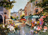 Malowanie Po Numerach Paryska Ulica W Kwiatach Kolorowa 40X50 Cm Na Ramie