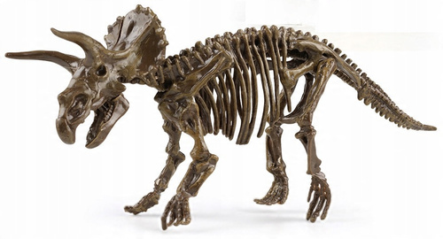 Skamielina Dinozaura Z Modelem Dinozaura Do Złożenia Z Zestawem Narzędzi
