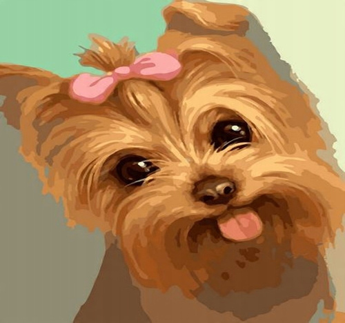 Malowanie Po Numerach Piesek York Z Kokardą 50X40 Cm Z Ramą Kreatywne