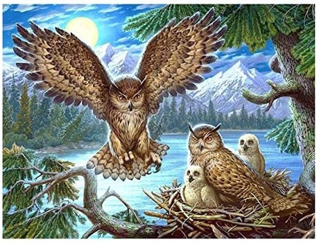 Diamentowa Mozaika Haft Kreatywny Sowie Gniazdo 30x40 Cm