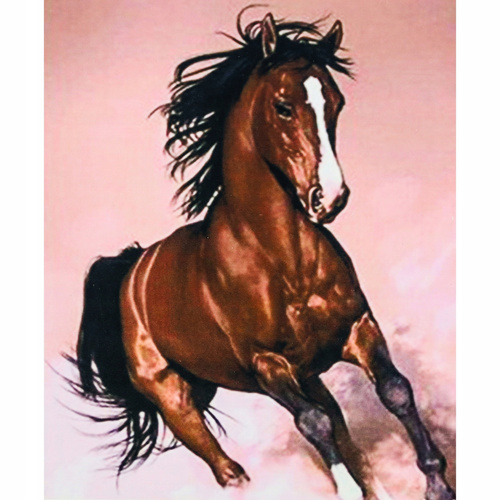 Malowanie Po Numerach 40 X 50 Cm Dziewczyna I Wilk