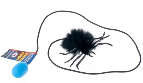 Pająk Skaczący Włochaty Czarny Z Pompką