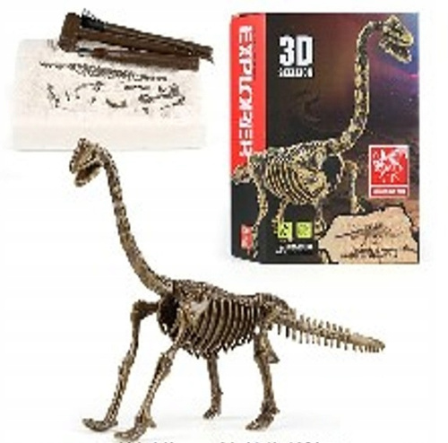 Skamielina Dinozaura Diplodok Do Odkrycia Przez Małych Archeologów