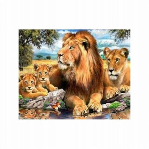 Malowanie Po Numerach Lwia Rodzina 40X50