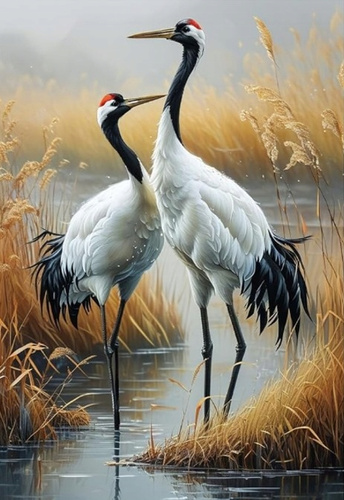 Diamentowa Mozaika Ptak Dwa Żurawie W Wodzie 30x40Cm Kreatywne Diamenty