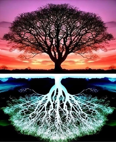 Diamentowa Mozaika Drzewo Wraz Z Odbiciem 30x40 Cm Kreatywne Diamenty