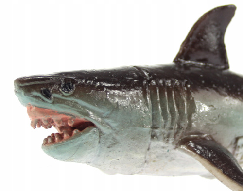 Rekin Żarłacz Biały 18 Cm Długości Ręcznie Malowane