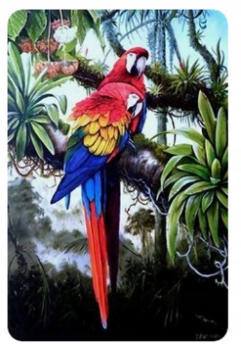 Diamentowa Mozaika Haft Diamentowy Czerwone Papugi Na Gałęzi 80x40cm