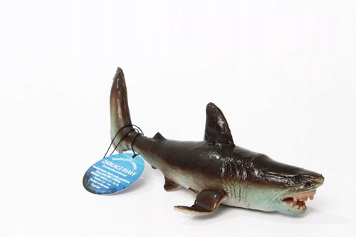 Rekin Żarłacz Biały 18 Cm Długości Ręcznie Malowane