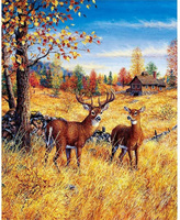 Malowanie Po Numerach Jelenie Na Polu 50X40 Cm Z Ramą Kreatywne