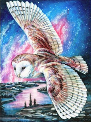 Diamentowa Mozaika Sowi Lot Haft Kreatywny 30x40 Cm