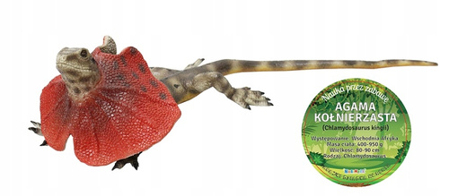 Zabawka Figurka Agama Kołnierzysta 55 CM Długości Szczegółowe Detale