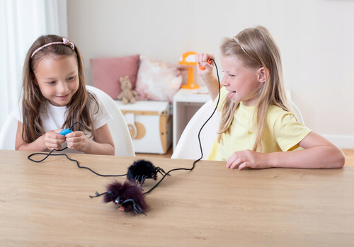 Pająk Skaczący Włochaty Czarny Z Pompką