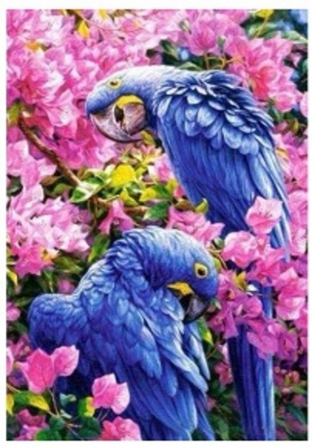 Malowanie Po Numerach Papugi, Kwiaty 50x40 Cm+Rama