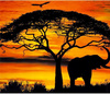Diamentowa Mozaika Słoń Na Tle Zachodzącego Słońca 30x40 Cm Kreatywne