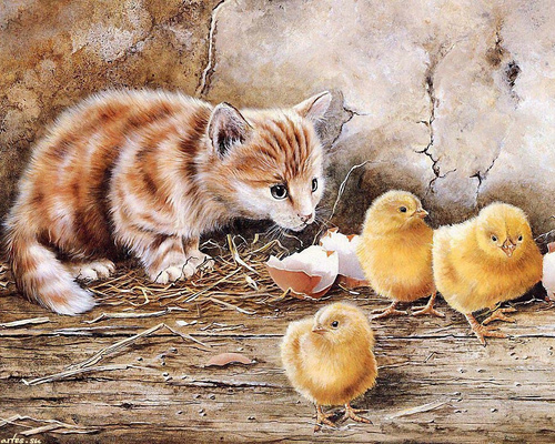 Malowanie Po Numerach Kotek Z Pisklętami W Kurniku