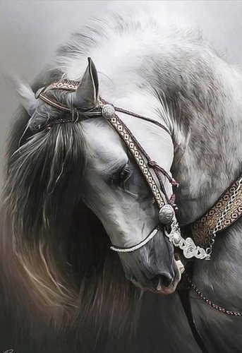 Diamentowa Mozaika Portret Białego Konia 30x40Cm Kreatywne Diamenty