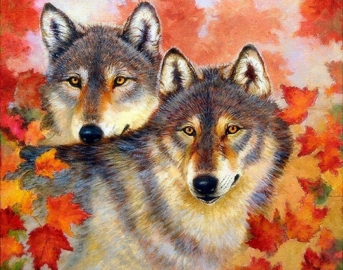 Malowanie Po Numerach 40 X 50 Cm Wilk I Wilczyca