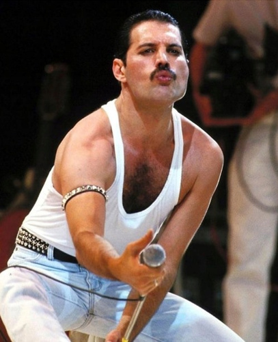 Diamentowa Mozaika Haft Freddie Mercury Na Występie 30x40 Cm