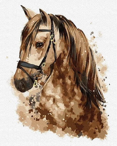Malowanie Po Numerach Koń Portret 50X40 Cm Na Ramie