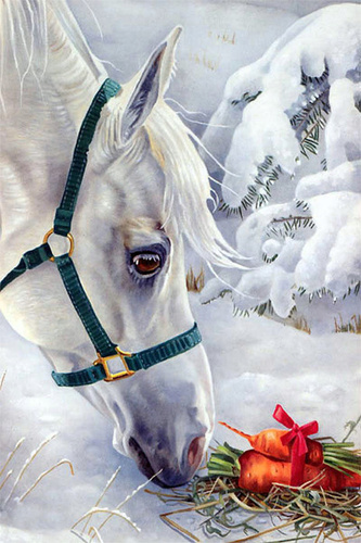 Malowanie Po Numerach Koń, Śnieg 50X40 Cm Na Ramie