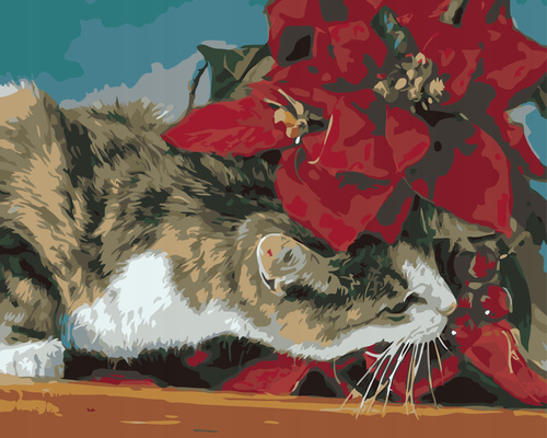 Malowanie Po Numerach 40 X 50 Cm Kot Zaciekawiony