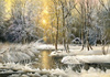 Diamentowa Mozaika Zimowy Las Nad Rozlewiskiem Z Samotną Chatką 30x40 Cm