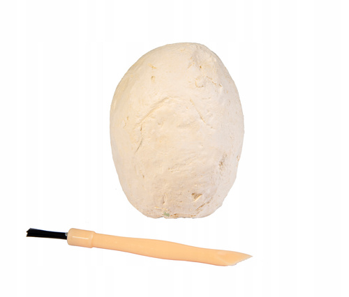 Skamielina Jajo Dinozaura Z Figurką Dinozaura Świecącą Mały Archeolog