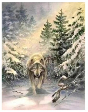 Malowanie Po Numerach Wilk W Lesie Zima 40x50 CM Z Ramą Kreatywne
