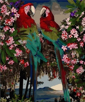 Malowanie Po Numerach 50X40 Cm Kreatywne Z Ramą Papugi Ara