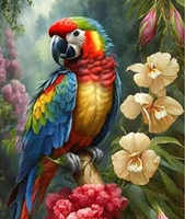 Malowanie Po Numerach Kolorowa Papuga Na Gałęzi 40X50 Cm Na Ramie Kreatywne