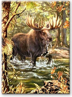 Diamentowa Mozaika Haft Łoś W Lesie 30x40cm