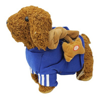 PIES NA SMYCZY W DRESIE