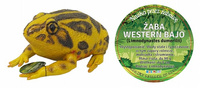 Żaba Western Bajo 21 Cm Długości