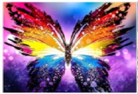 Malowanie Po Numerach 50X40 Cm Kreatywne Z Ramą Kolorowy Motyl