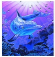 Malowanie Po Numerach Delfin