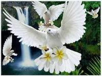 Diamentowa Mozaika Gołębie Z Liliami Koło Wodospadu Haft Kreatywny 30x40 Cm