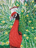 Diamentowa Mozaika Haft Mandala Paw Pomarańcz 30X40