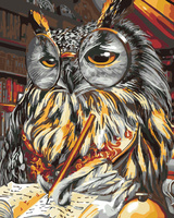 Malowanie Po Numerach Sowa, Księga 50X40 Cm Na Ramie