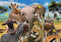 Diamentowa Mozaika Safari Zwierzęta 30x40