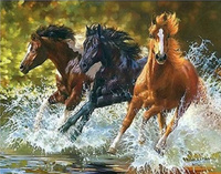 Malowanie Po Numerach Konie 40X50