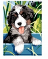 Malowanie Po Numerach Uśmiechnięty Pies 40x50 Na Ramie Kreatywne