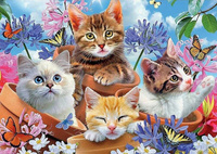 Malowanie Po Numerach Koty W Doniczkach