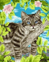 Malowanie Po Numerach 50X40 Cm Kreatywne Z Ramą Kot Na Gałęzi