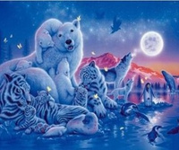 Malowanie Po Numerach Zwierzęta Polarne Nocą 40X50