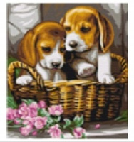 Malowanie Po Numerach Psy