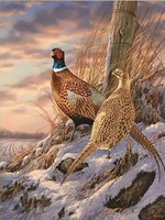 Diamentowa Mozaika Bażanty W Zimowej Atmosferze Haft Kreatywny 30x40 Cm