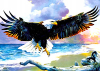 Diamentowa Mozaika Orzeł Nad Morzem 30x40