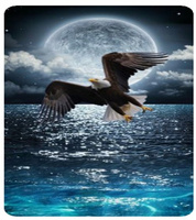 Diamentowa Mozaika Haft Diamentowy Orzeł I Księżyc Nad Morzem 80x40cm